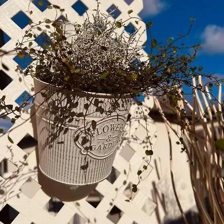 Апартаменты Amalfi - Stylish With Terrace *