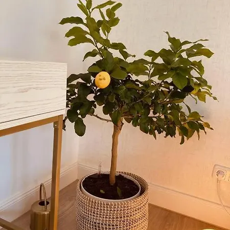 Appartement Amalfi - Stylish With Terrace *