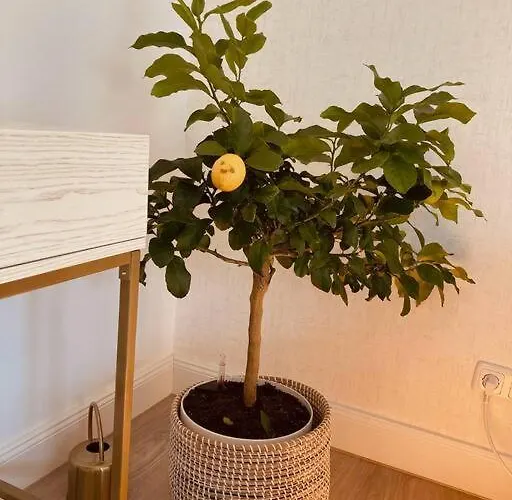 Lägenhet Amalfi - Stylish With Terrace *